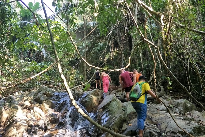 Phuket Jungle Trekking Phuket Jungle Trekking - Hiking Tours