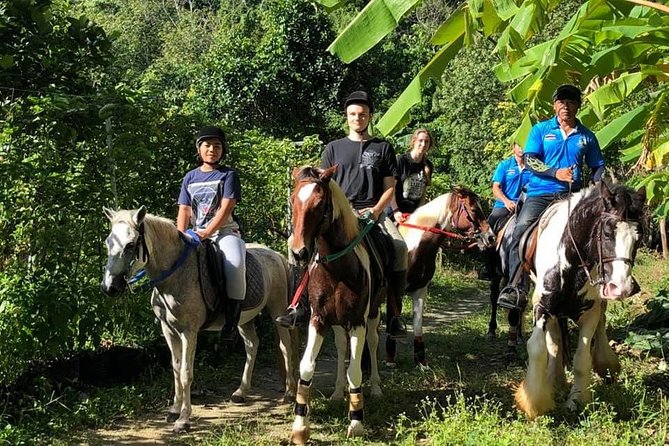 Phuket Horseback Riding 1 hour trail Phuket Horseback Riding 1 hour trail - Horseback Riding