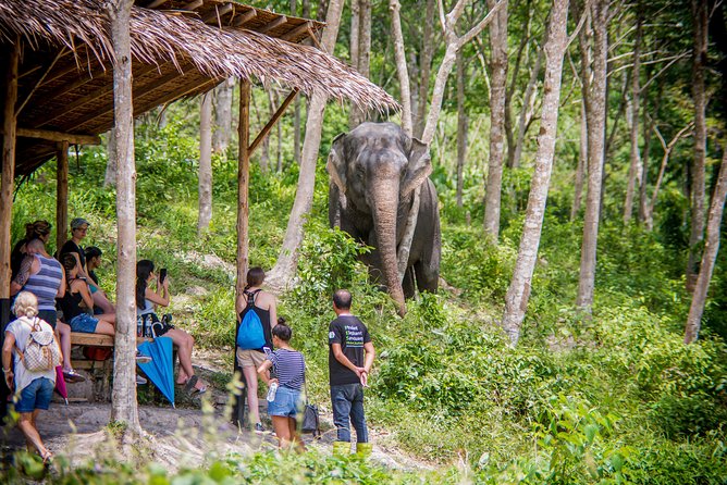 Phuket Elephant Sanctuary: Ethical Elephant Tourism Phuket Elephant Sanctuary: Ethical Elephant Tourism - Nature and Wildlife