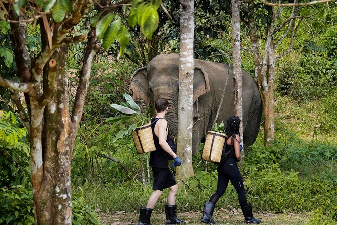 Phuket: Full-Day Phuket Elephant Sanctuary Tour with Meals Phuket: Full-Day Phuket Elephant Sanctuary Tour with Meals - Full-day Tours