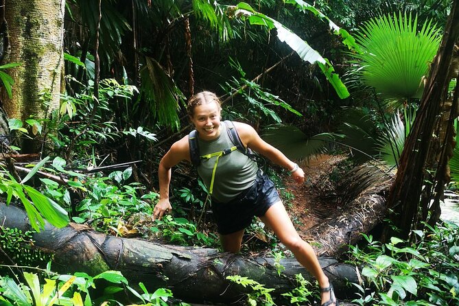 Small-Group Jungle Hiking Excursion in Khao Phra Teaw Park Small-Group Jungle Hiking Excursion in Khao Phra Teaw Park - Hiking Tours