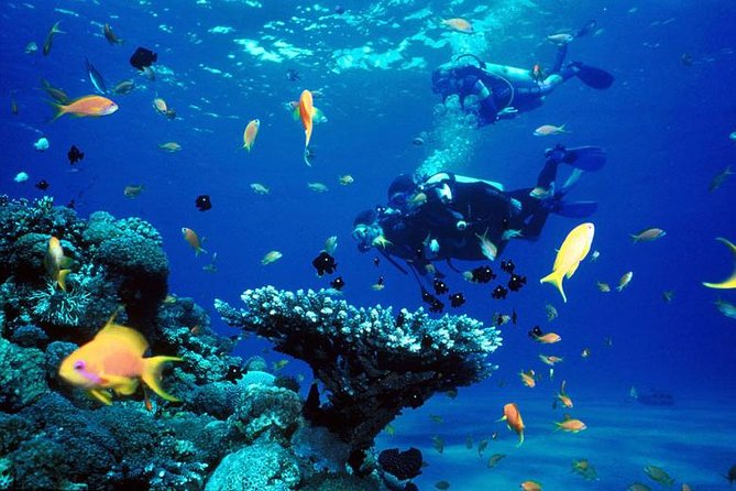 Full-Day Racha Yai Private Scuba Diving Course from Phuket Full-Day Racha Yai Private Scuba Diving Course from Phuket - Scuba Diving