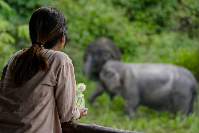 Nature and Wildlife Activities & Tour packages In Bangtao & Phuket. Nature and Wildlife Bangtao